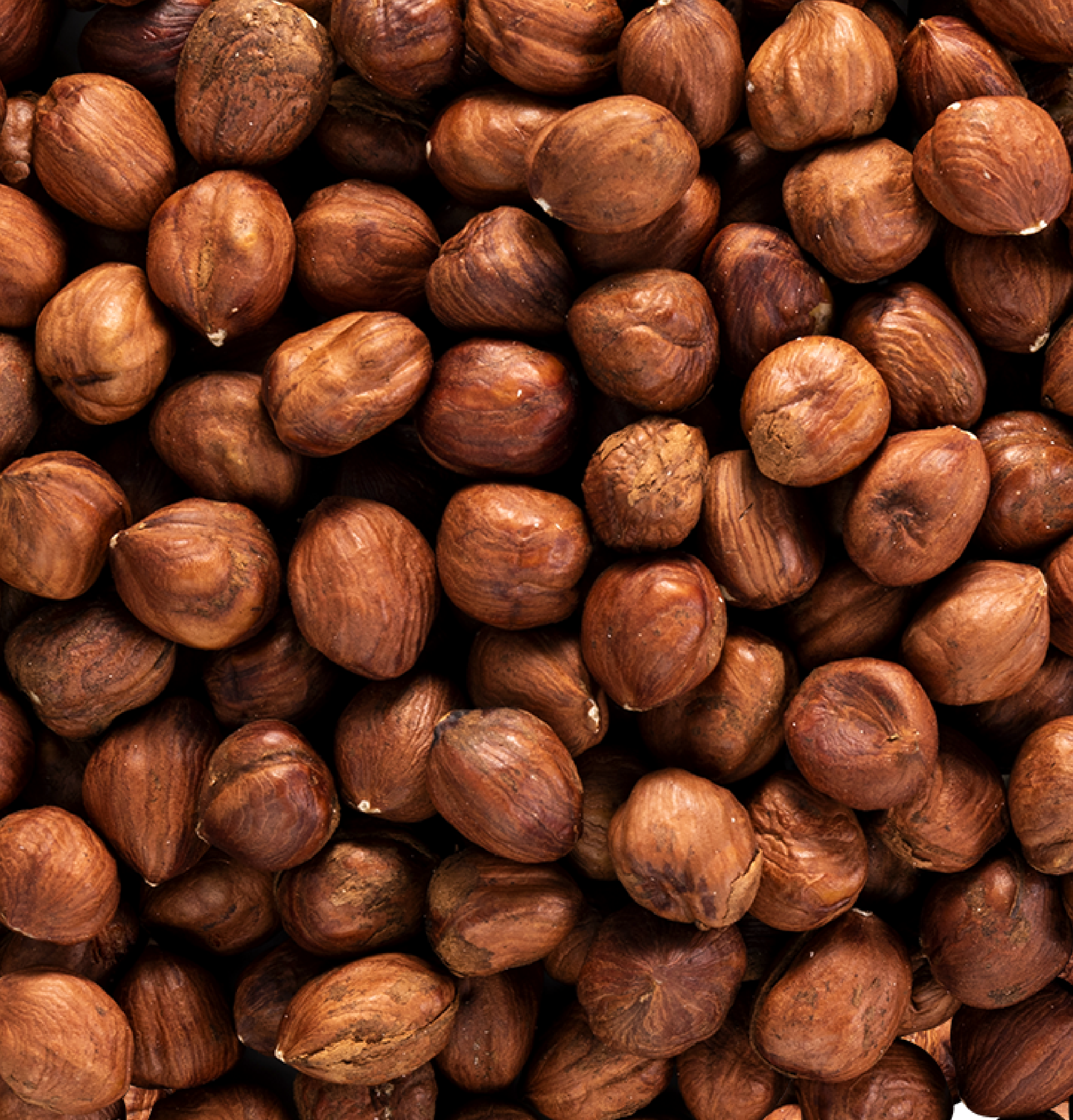 Noisettes décortiquées du Piémont IGP 